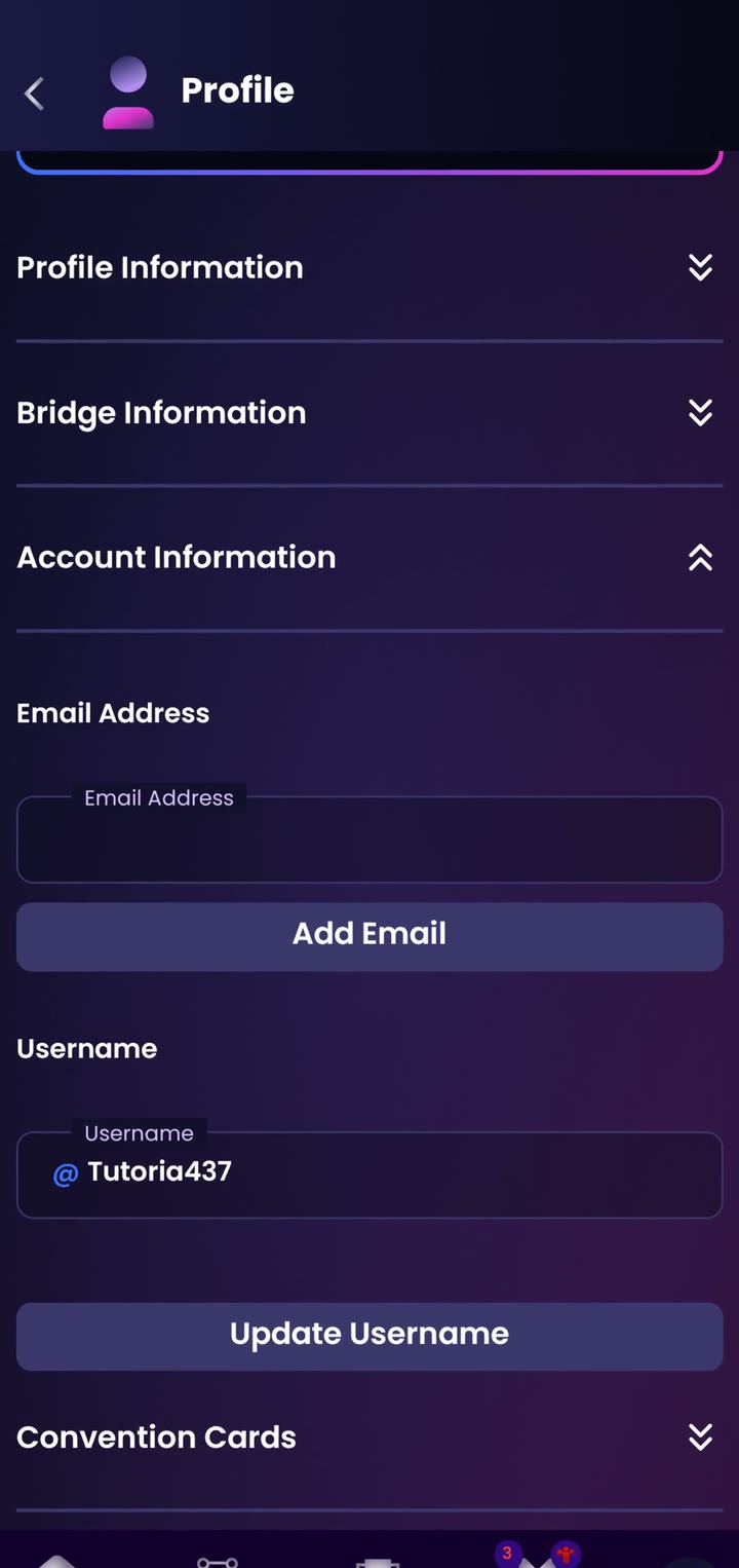Account Information with an empty email field and an Add Email button
