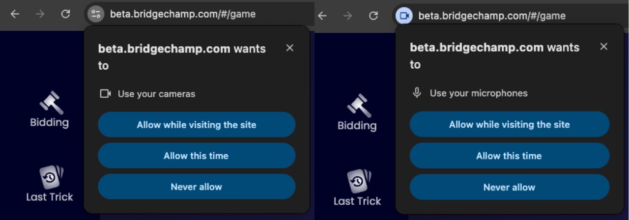 Cam/Mic Permissions